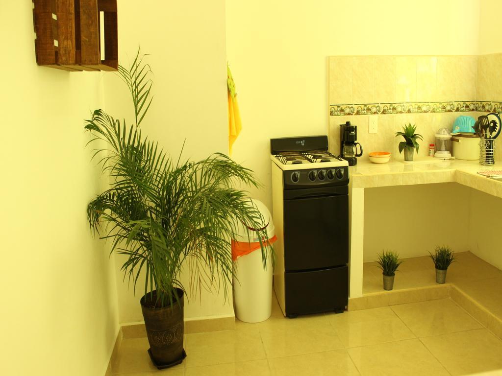 Maya Vacanze Playa Aventura ปลายาเดลการ์เมน ภายนอก รูปภาพ